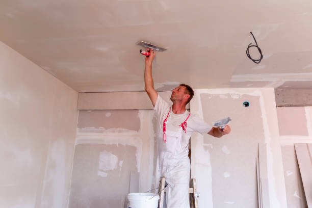 Best Residential Painting  in Bronson, MI